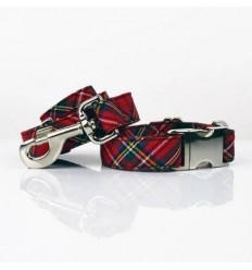 Brott collar y correa Tremp