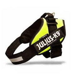 Julius IDC Powerharness Neon