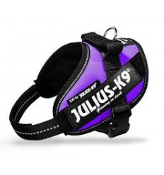 Julius IDC Powerharness Lila