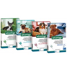 Advantage 100 Perro 4 Pip (4-10Kg)