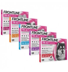 Frontline TRI-ACT 6 pipetas