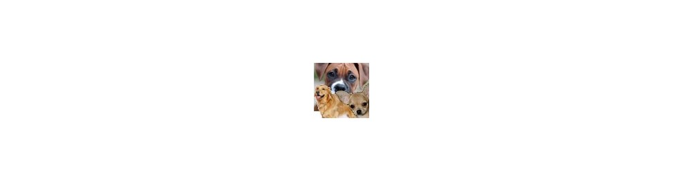 Pienso para razas de perros
