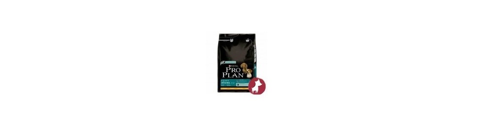 Ofertas de Pienso para Mascotas. Envío gratis 48h Mundo Animal Tienda