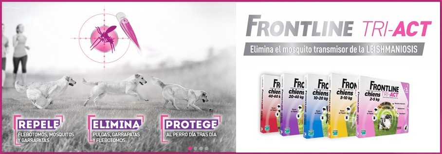 Pipetas para perros