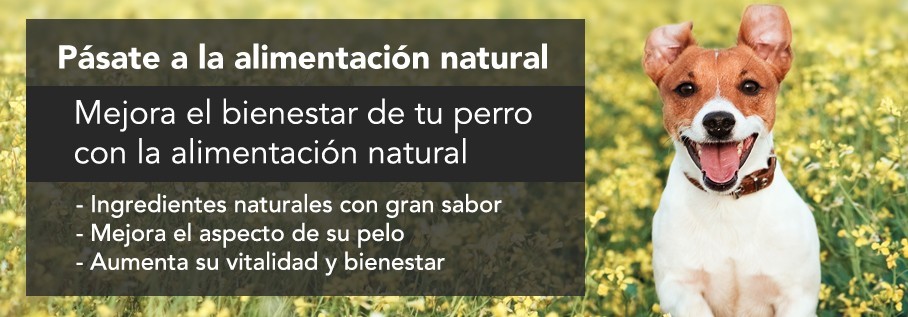 Pienso natural para perros