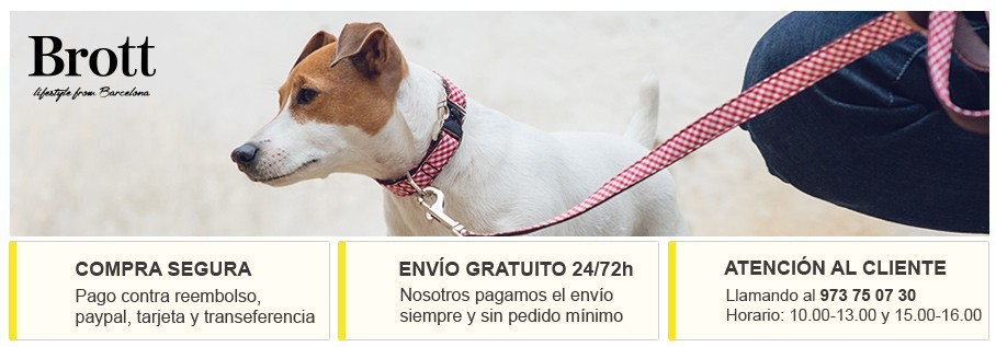 Correas y collares para perros