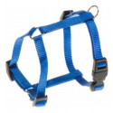 Correas y collares para perros
